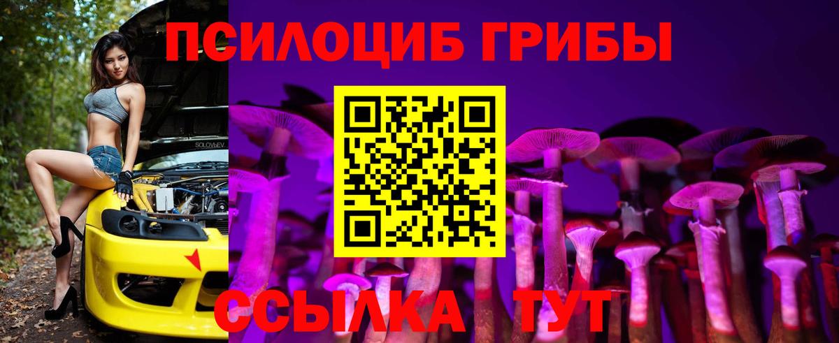 Галлюциногенные грибы GOLDEN TEACHER  закладки  Таганрог  Вход с VPN  Галлюциногенные грибы MAGIC MUSHROOMS 